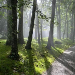 Meet your Posher, Linda